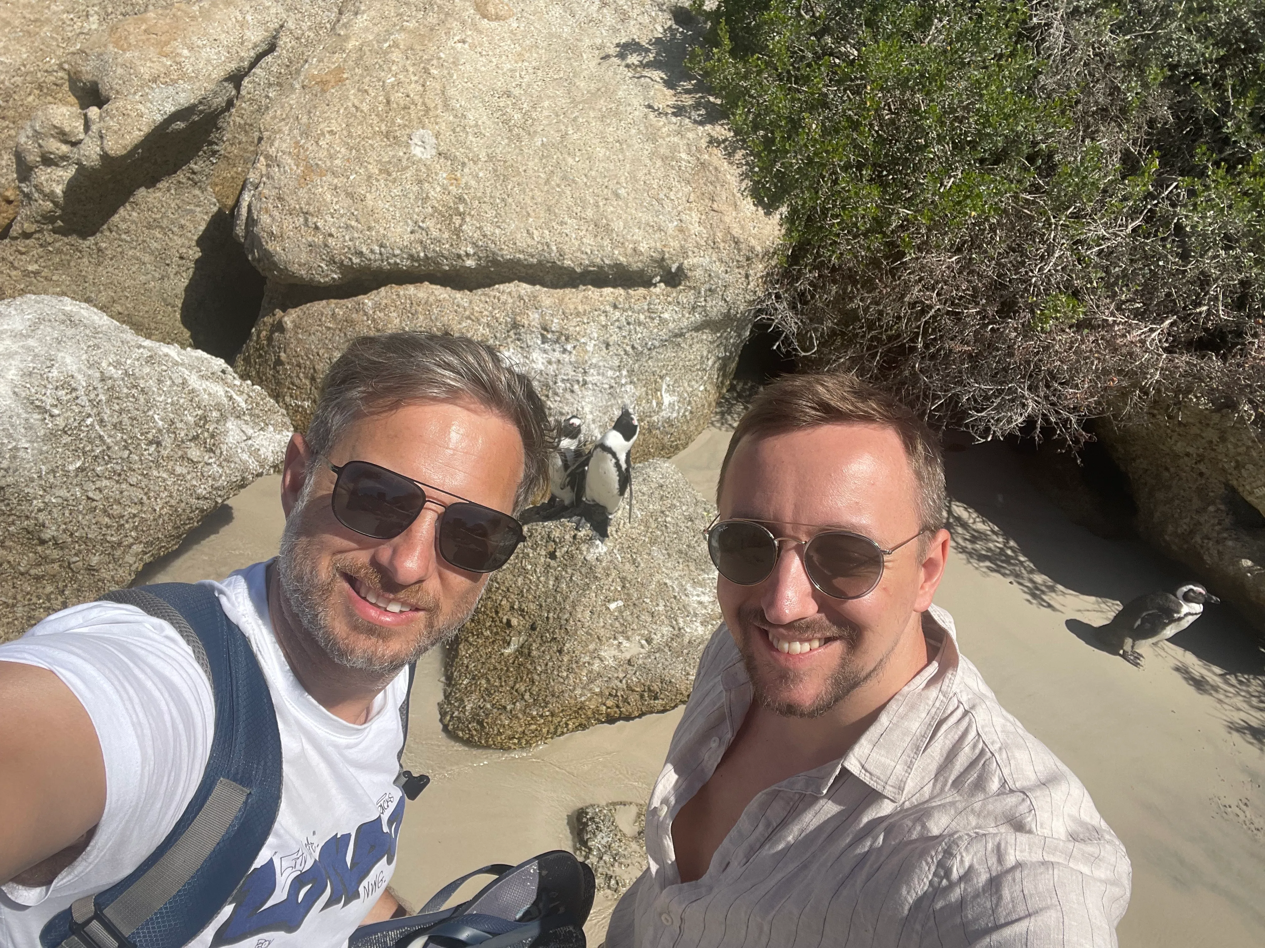 Boulders Beach